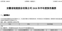 半年報丨皖能電力上半年營業(yè)收入58.66億元