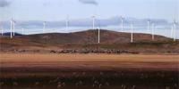 埃及計劃建設(shè)23.3億美元風電場項目