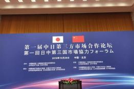 安倍晉三訪華 協(xié)鑫、天合和晶科為光伏行業(yè)長臉了！