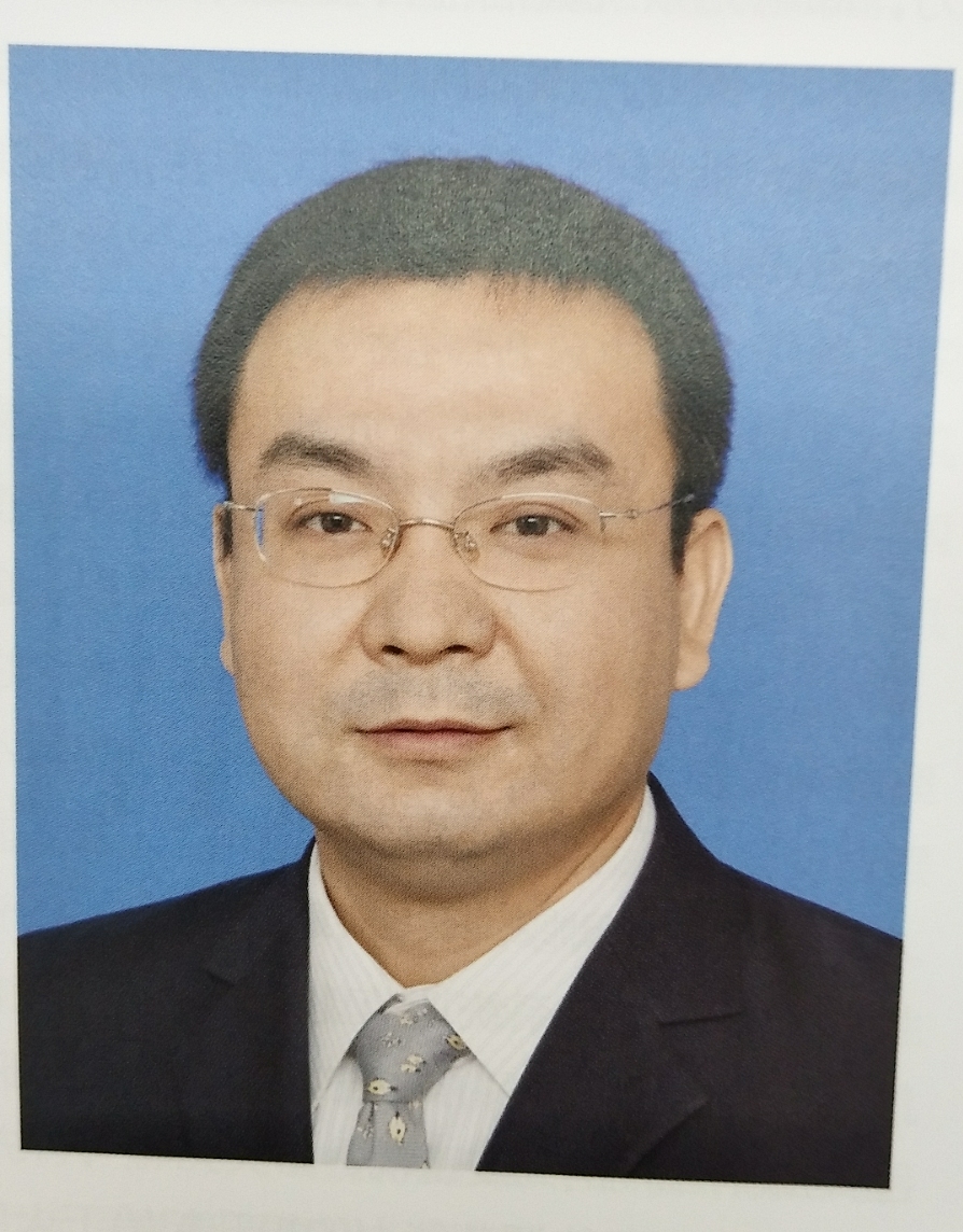 系統(tǒng)靈活性:電力發(fā)展大趨勢(shì)——訪電力規(guī)劃設(shè)計(jì)總院規(guī)劃研究部副主任韓小琪