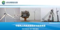 中國海上風(fēng)電發(fā)展現(xiàn)狀與前景展望