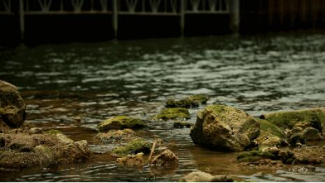 水污染治理市場狂歡背后：環(huán)保企業(yè)如何活出新高度？