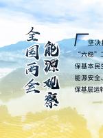 讀圖｜2020政府工作報告中這些內容，和能源電力有關！