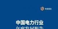 中電聯發(fā)布《中國<font color=