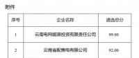 2025年云南電力市場保底售電公司候選名單公示！